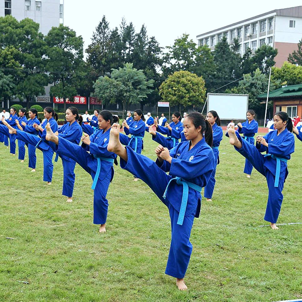Giữa sàn diễn và võ đài: bài toán phân loại của võ thuật Việt Nam